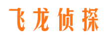 河南市婚姻调查